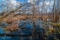025_Biebrza - kwiecien 2013